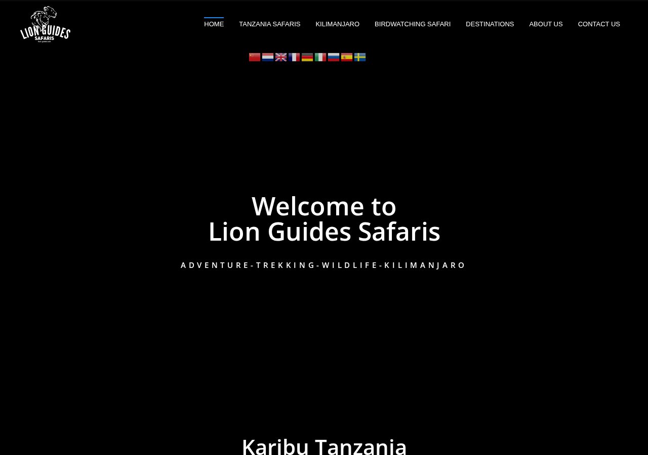 Vorschau der Kundenwebsite Lion Guides Safaris